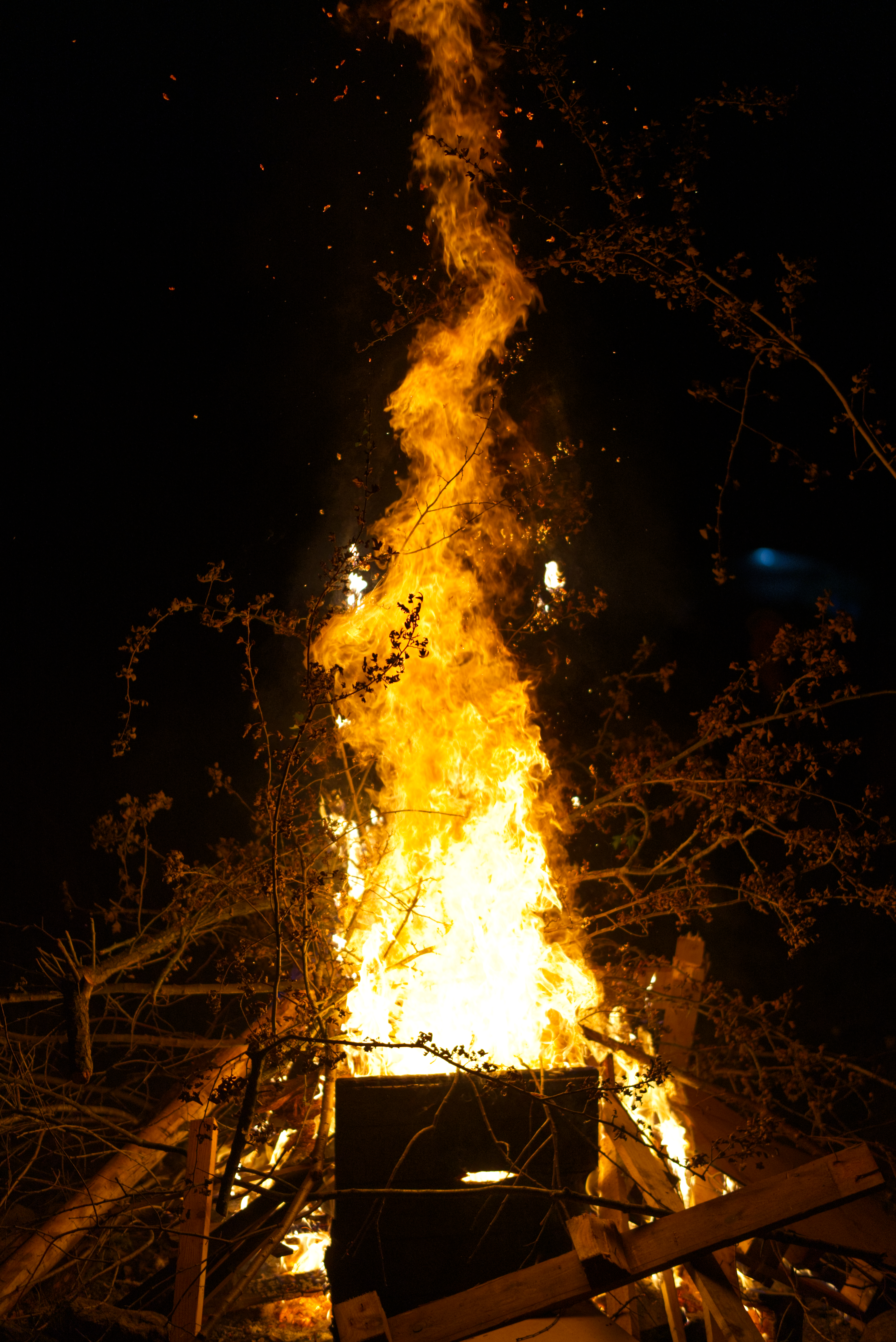 DSC04849.jpg