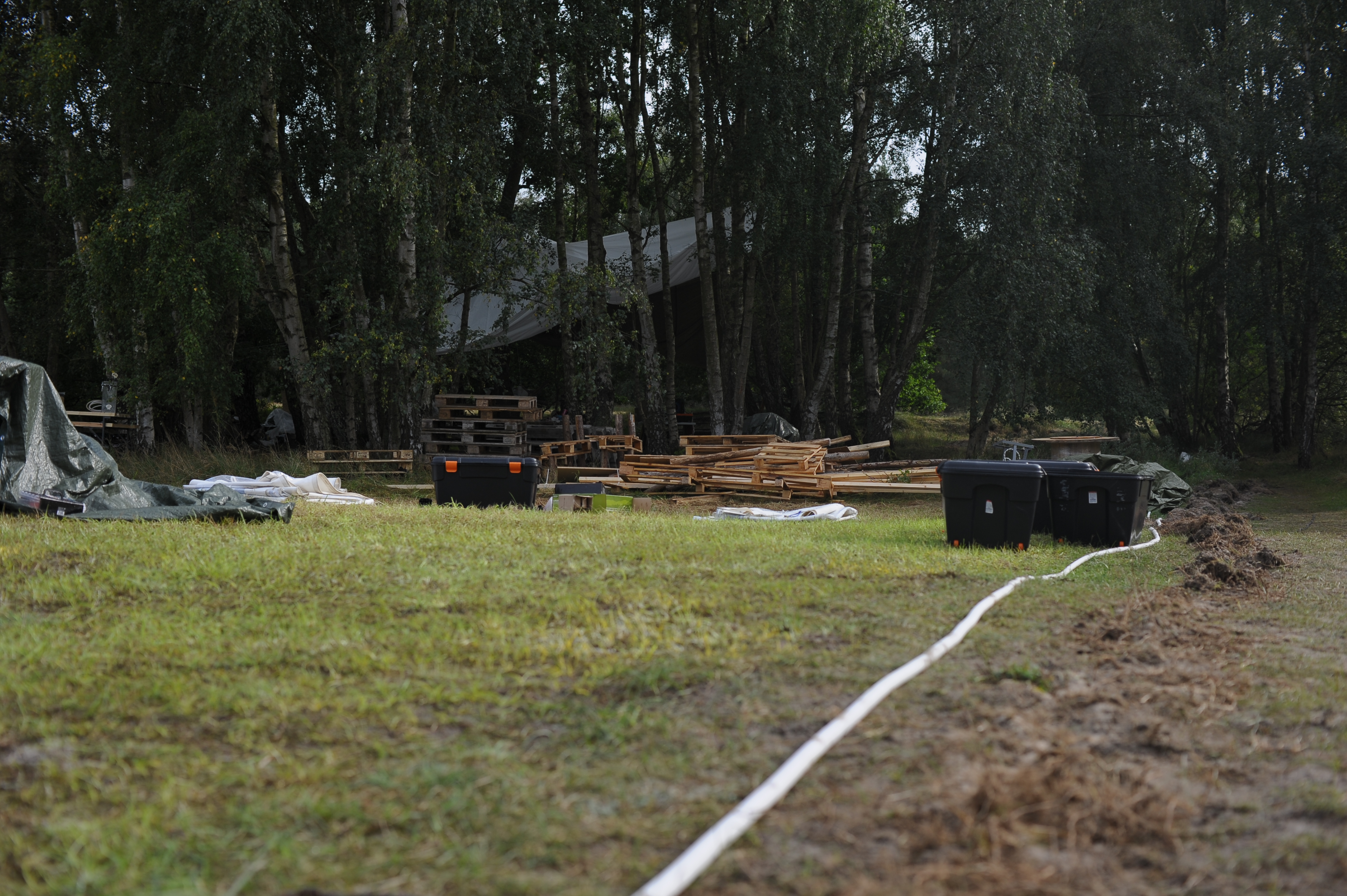 FB1_5387.JPG