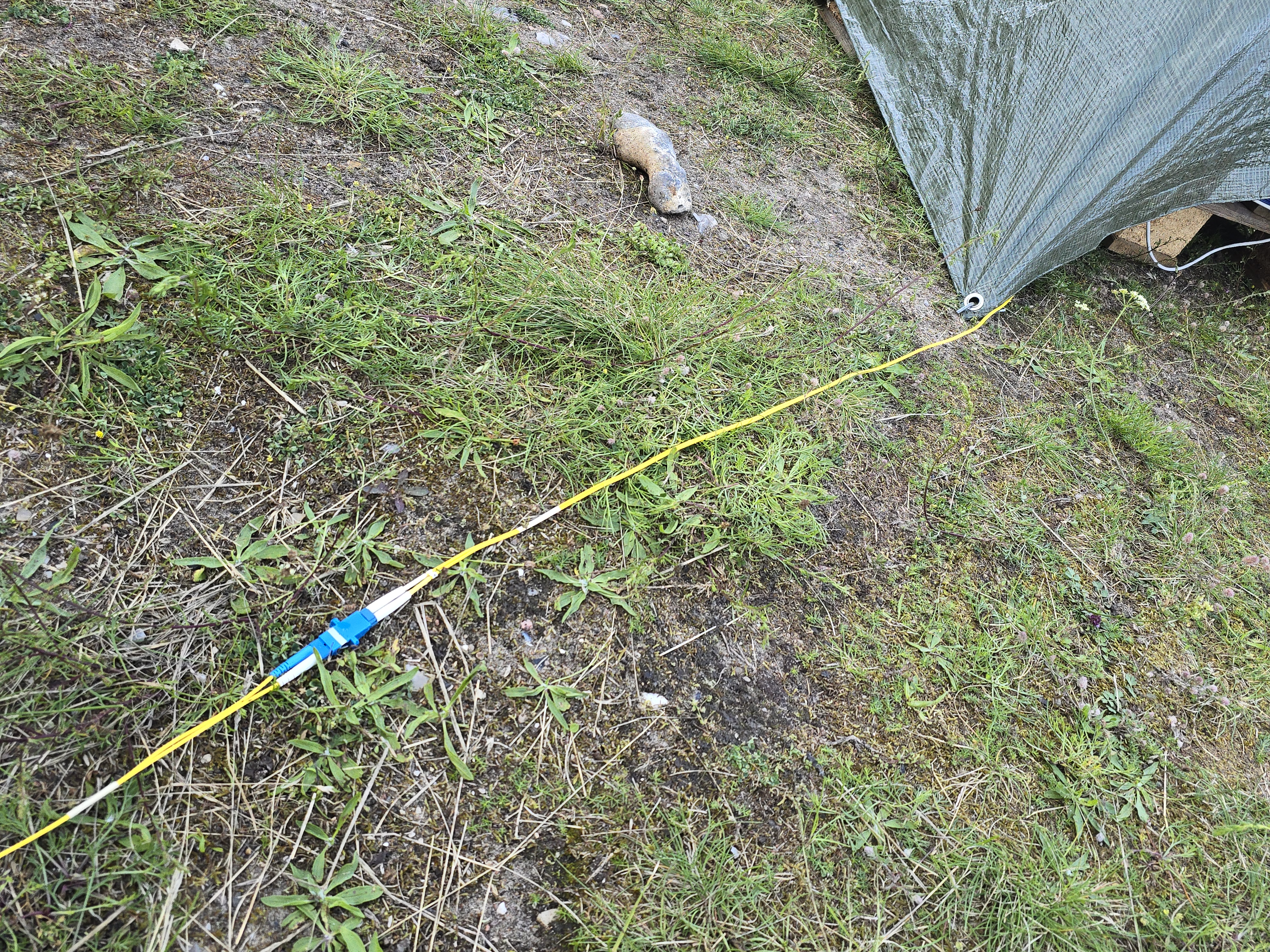 20240718_204433.jpg