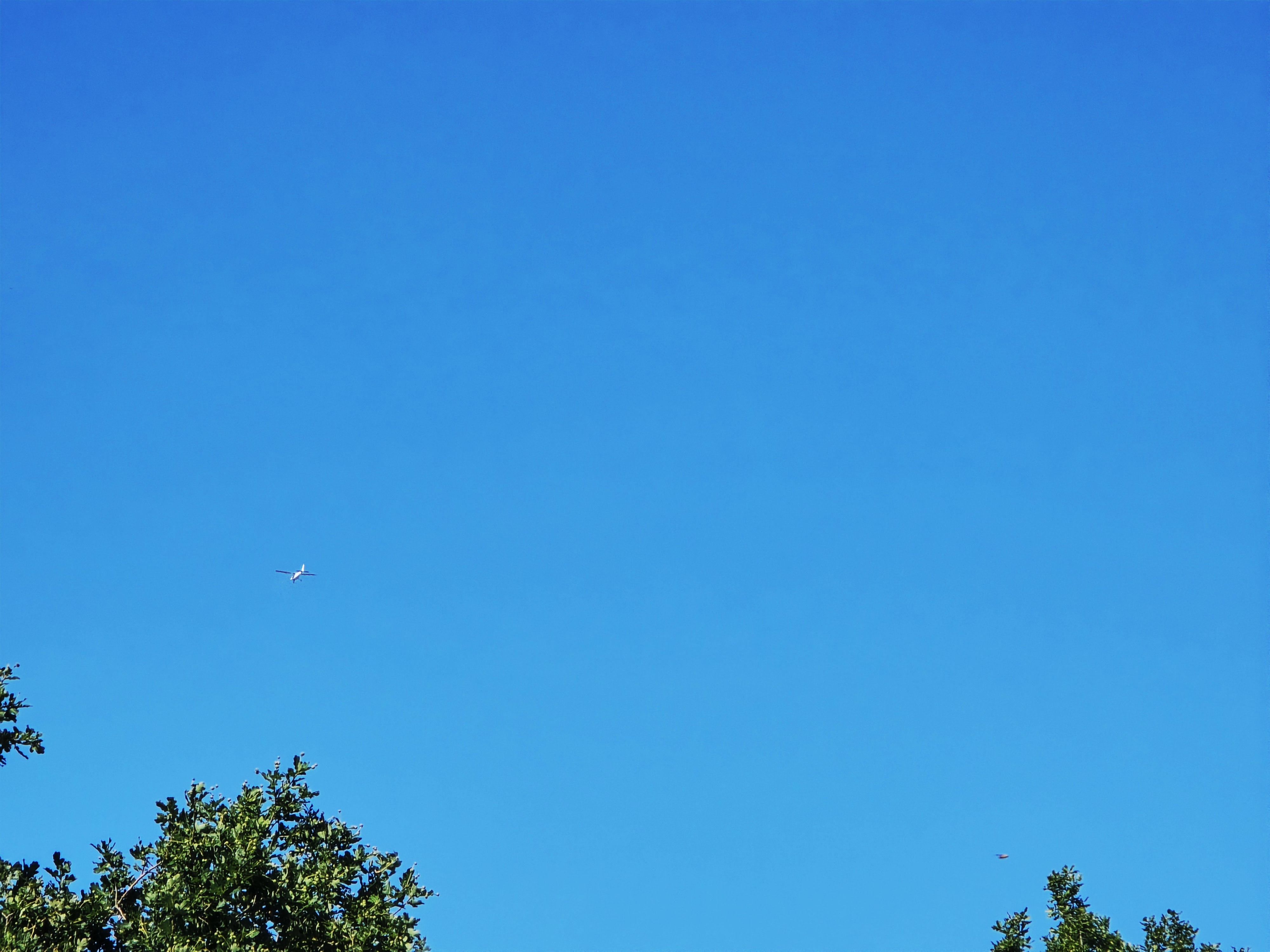 20250717_171153.jpg