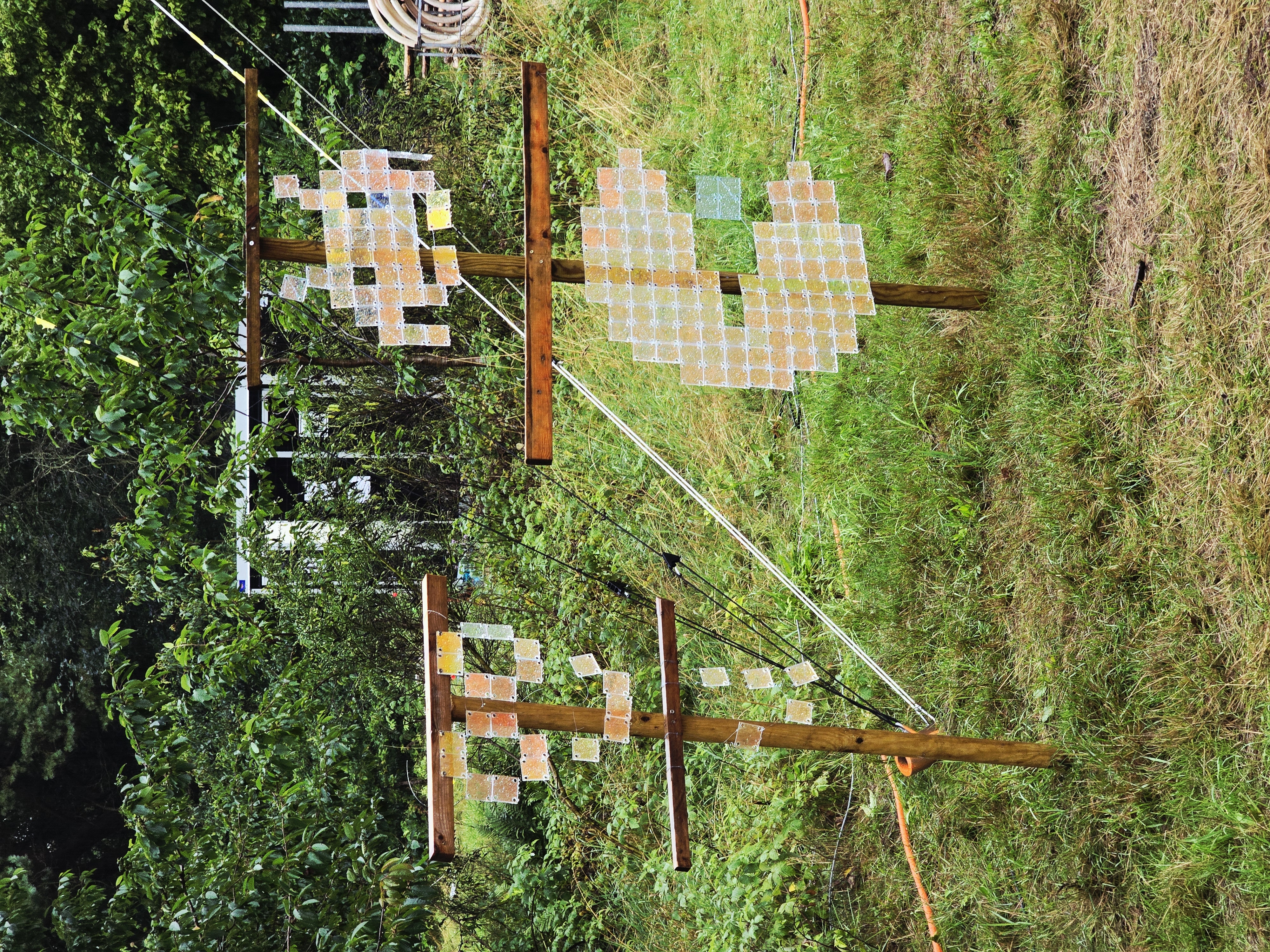 20250722_185642.jpg