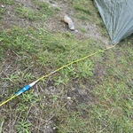 20240718_204433.jpg | Attribution: NaN | License: CC_ZERO_1_0