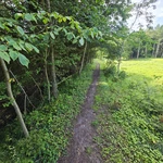 20250720_145404.jpg | Attribution: NaN | License: CC_ZERO_1_0