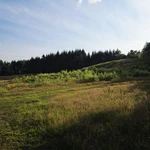 20250719_190528.jpg | Attribution: NaN | License: CC_ZERO_1_0