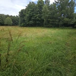 20240723_151006.jpg | Attribution: NaN | License: CC_ZERO_1_0