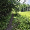 20250720_145358.jpg | Attribution: NaN | License: CC_ZERO_1_0