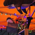 20250715_211917.jpg | Attribution: NaN | License: CC_ZERO_1_0