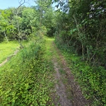 20250720_145407.jpg | Attribution: NaN | License: CC_ZERO_1_0