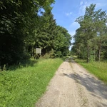20240721_120950.jpg | Attribution: NaN | License: CC_ZERO_1_0