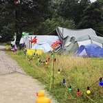 20250722_185551.jpg | Attribution: NaN | License: CC_ZERO_1_0
