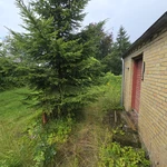 20240723_150449.jpg | Attribution: NaN | License: CC_ZERO_1_0