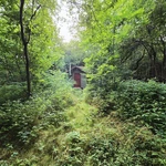 20250719_191512.jpg | Attribution: NaN | License: CC_ZERO_1_0